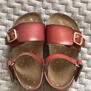 Adorable cat and jack sandals!